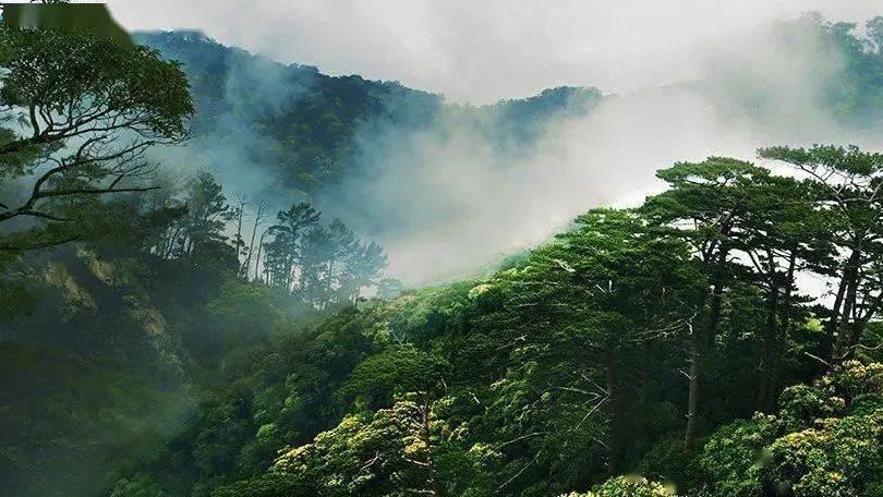 年为什么要过春节？游戏画面
