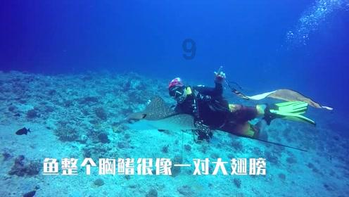 oppo这个怎么关闭啊啊啊！游戏画面